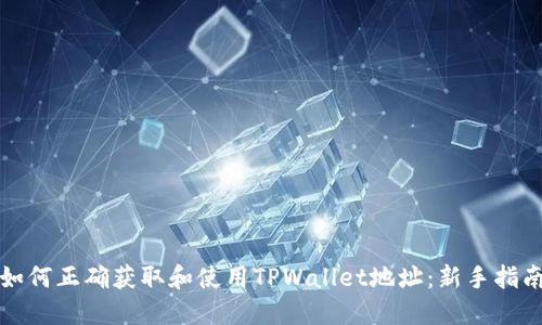 如何正确获取和使用TPWallet地址：新手指南